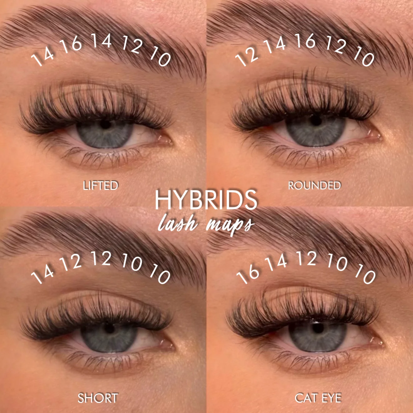 HYBRIDS Super Pre-Glued Lash Starter Kit - Image 5