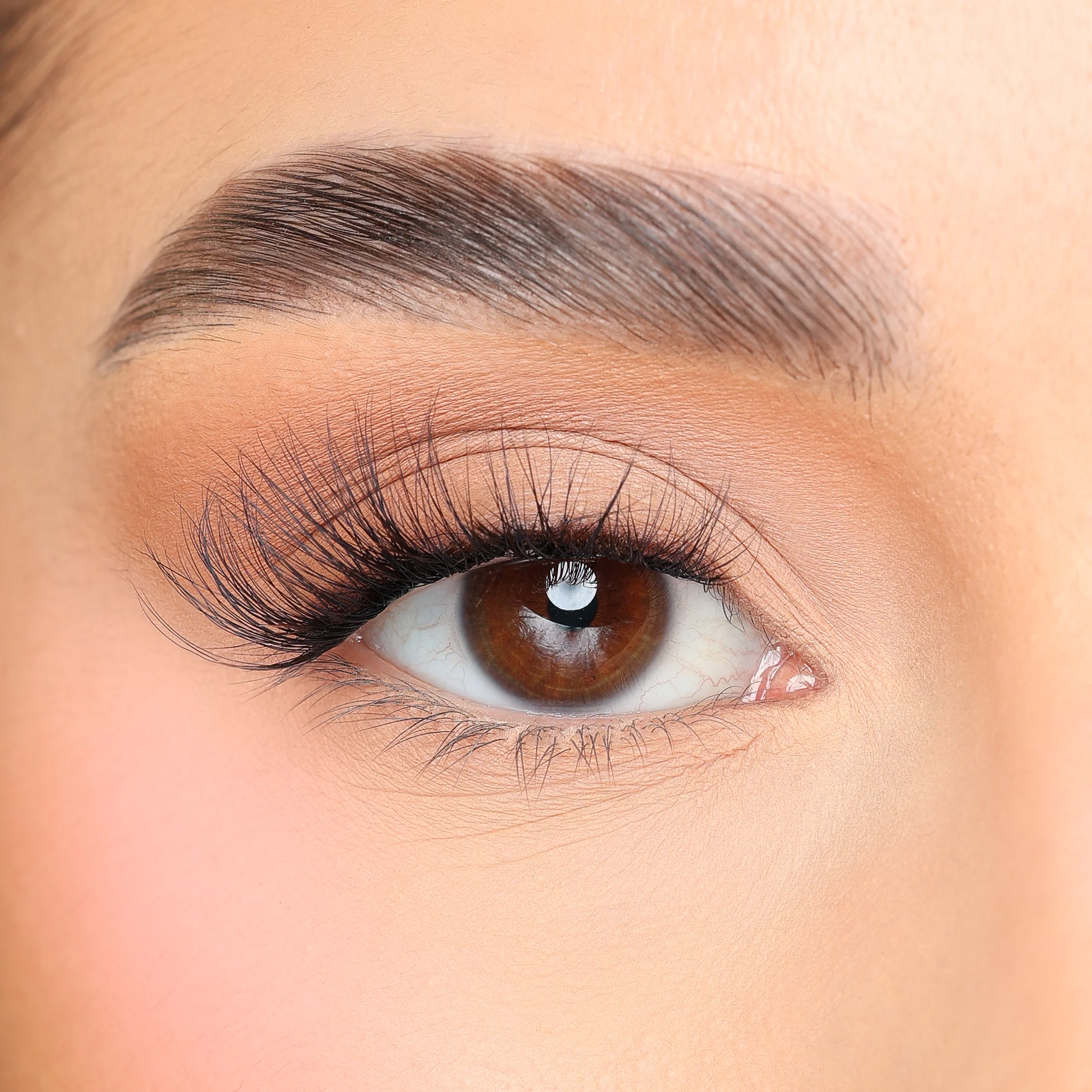 UnBEARlievable DIY Cluster Lashes - Image 12