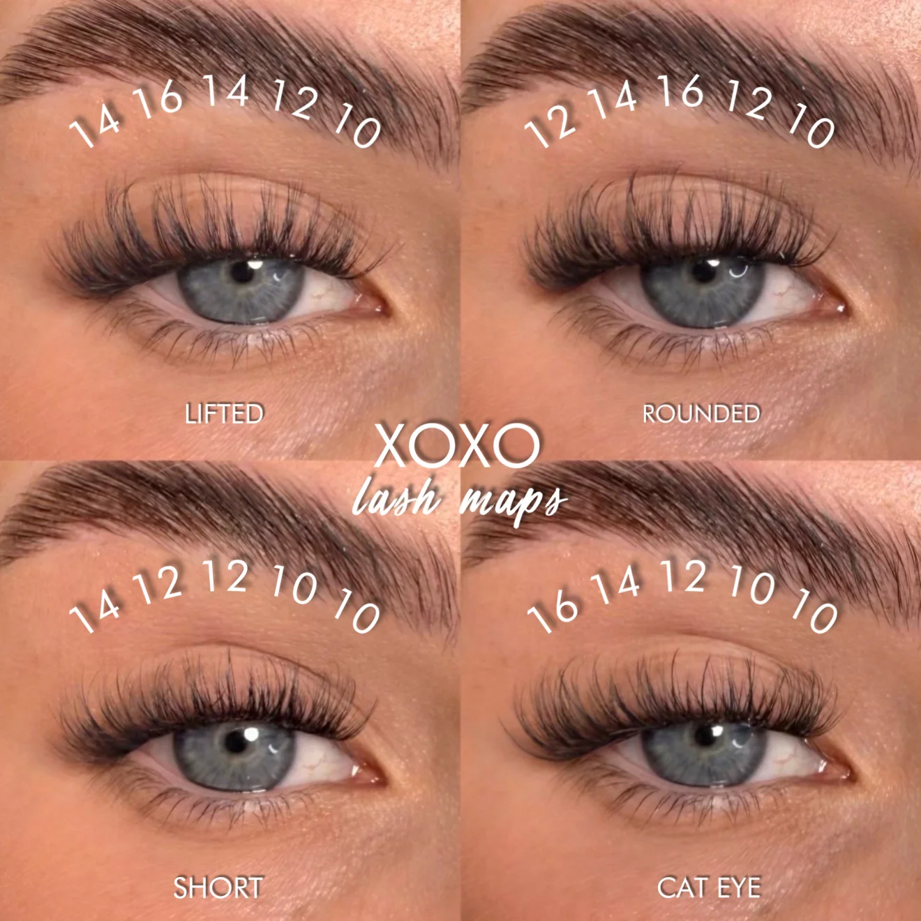 XOXO Super Pre-Glued Lash Starter Kit - Image 6